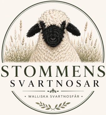 Stommens svartnosar
